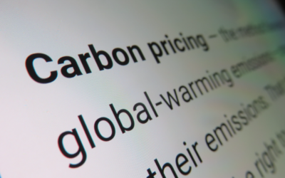 Decarbonising Scope 3 Emissions: Part 10 – Benefits of applying an internal Carbon Price